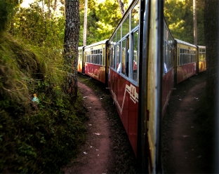 Himalayan Queen, a toy train, snakes through a forest stretch while travelling from Kalka to Shimla. The Kalka-Shimla railway line was constructed in 1906 with more than 806 bridges and 103 tunnels, In 2008, it became a UNESCO World Heritage Site.